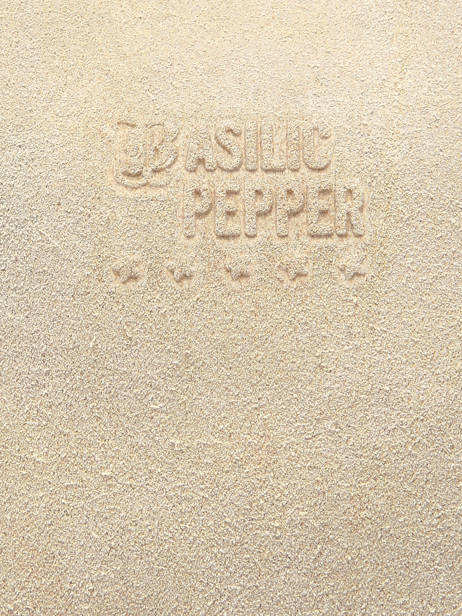 Handtassen Houston A4 Leder Basilic pepper Beige houston BHOU22 ander zicht 5